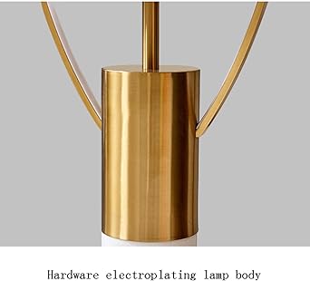 HDC Nordic LED Modern Gold Floor Light Indoor Lighting Floor-Lamps