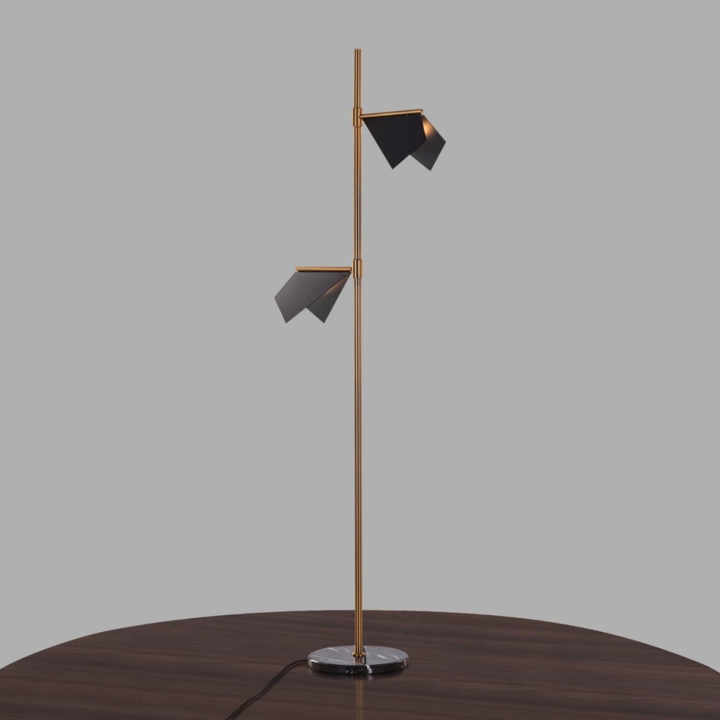 Hdc Gold & Black Body 2 Light Floor Lamp For Home, Office