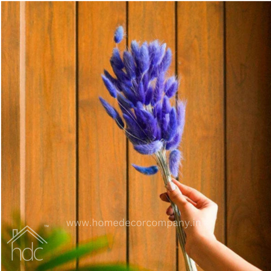 Hdc Naturally Dried Bunny Tail Flower Decor Bunch (Blue)