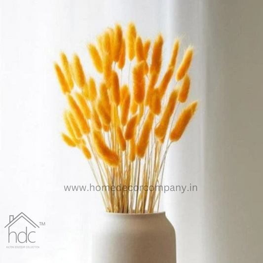 Hdc Naturally Dried Bunny Tail Flower Decor Bunch (Yellow)