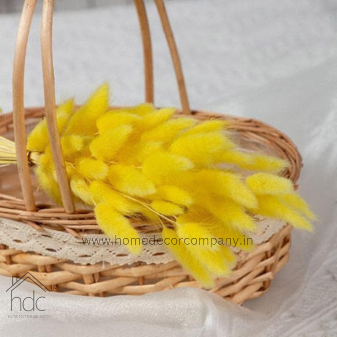 Hdc Naturally Dried Bunny Tail Flower Decor Bunch (Yellow)