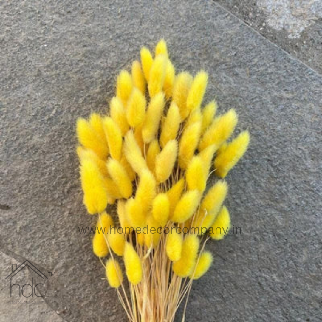 Hdc Naturally Dried Bunny Tail Flower Decor Bunch (Yellow)