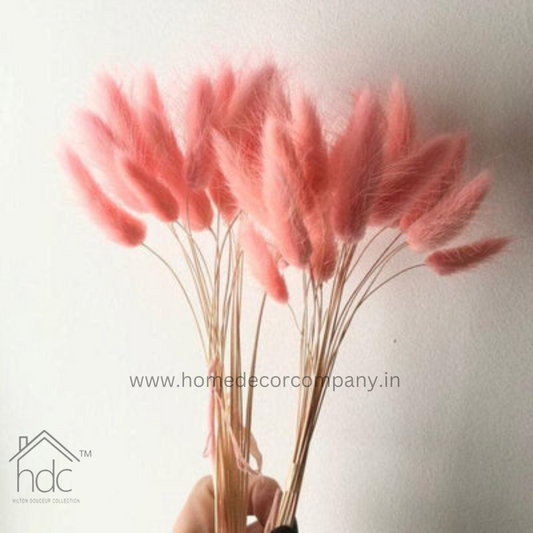 Hdc Naturally Dried Bunny Tail Flower Decor Bunch (Pink)