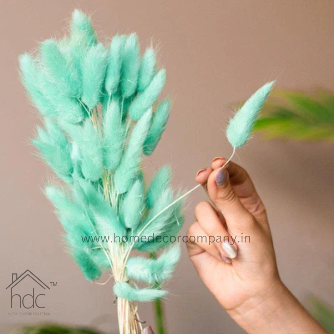 Hdc Naturally Dried Bunny Tail Flower Decor Bunch (Mint Green)