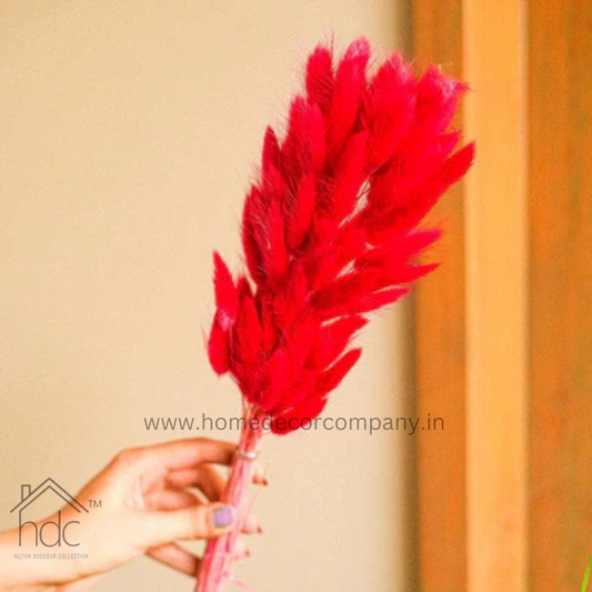 Hdc Naturally Dried Bunny Tail Flower Decor Bunch (Red)