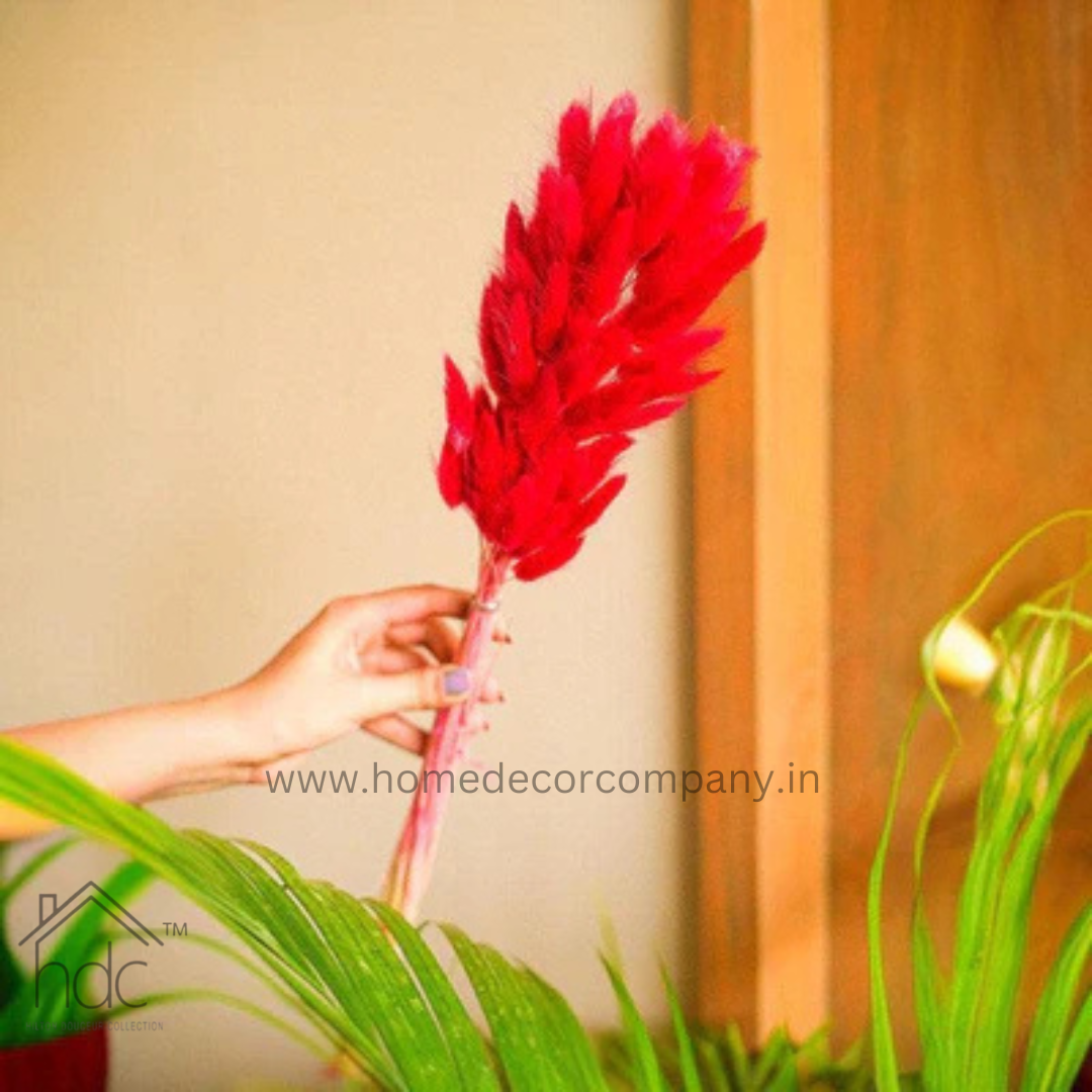 Hdc Naturally Dried Bunny Tail Flower Decor Bunch (Red)