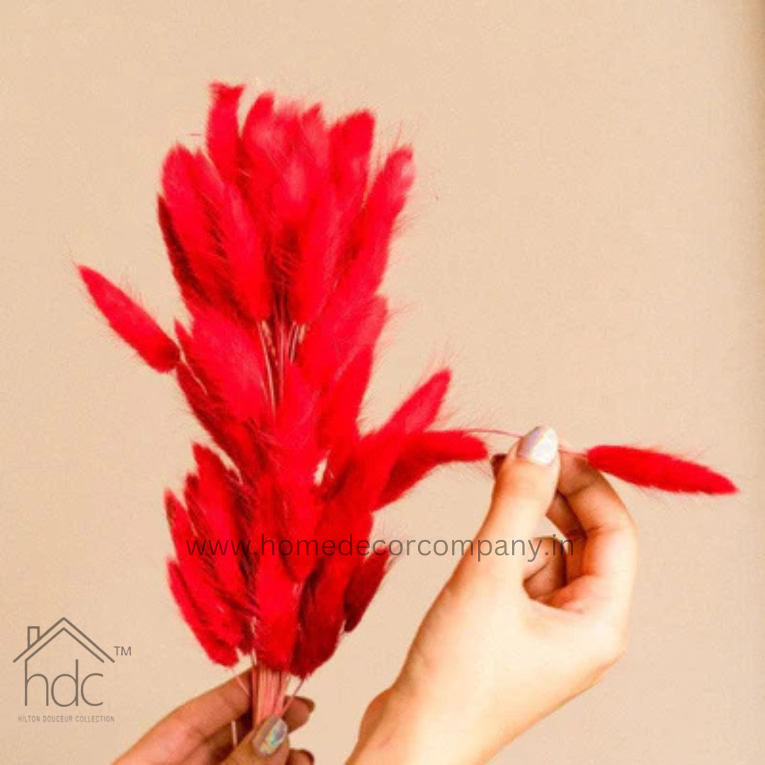 Hdc Naturally Dried Bunny Tail Flower Decor Bunch (Red)