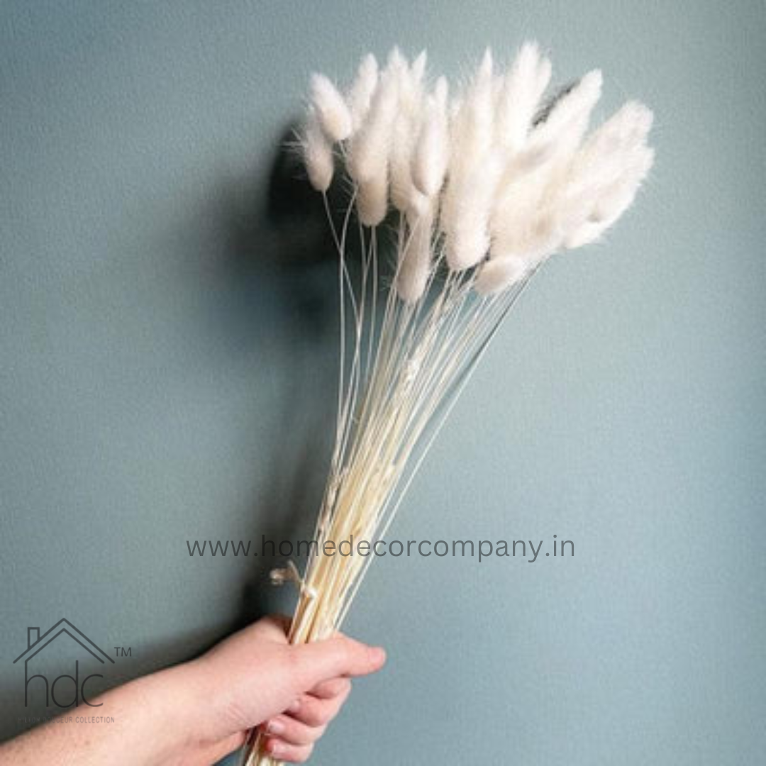 Hdc Naturally Dried Bunny Tail Flower Decor Bunch (White)