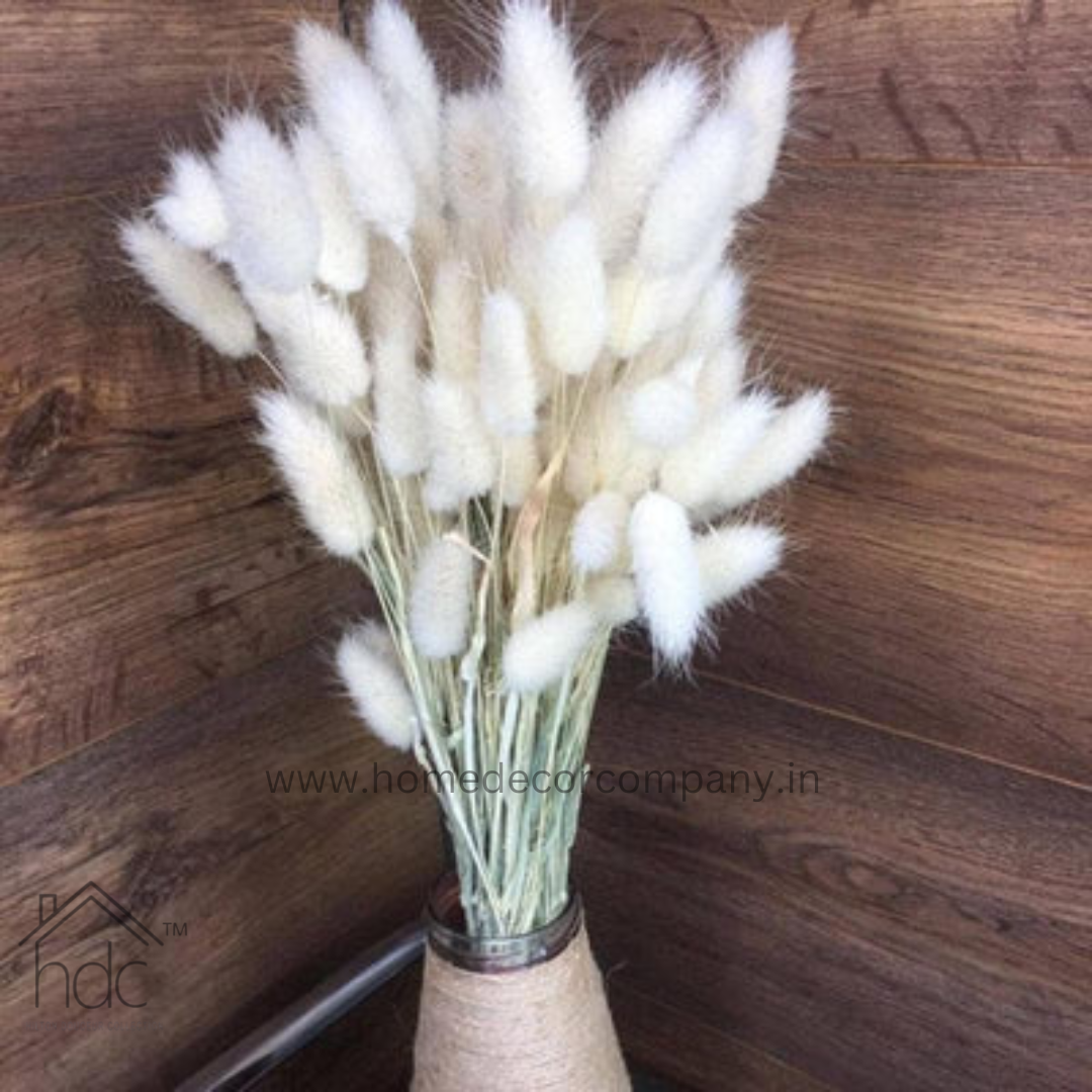 Hdc Naturally Dried Bunny Tail Flower Decor Bunch (White)