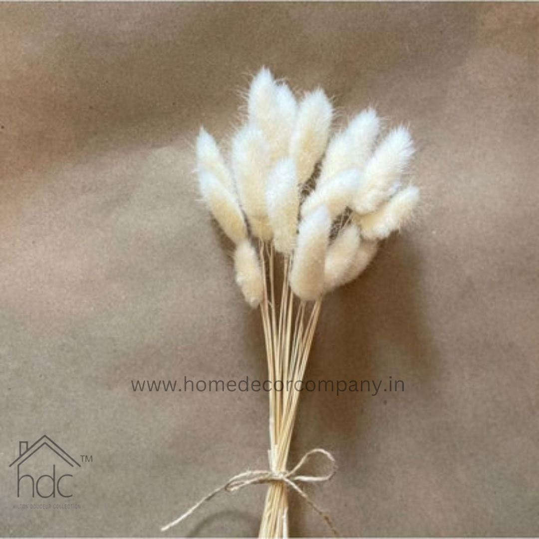 Hdc Naturally Dried Bunny Tail Flower Decor Bunch (White)