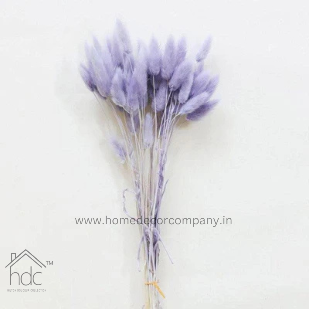 Hdc Naturally Dried Bunny Tail Flower Decor Bunch (Lilac)