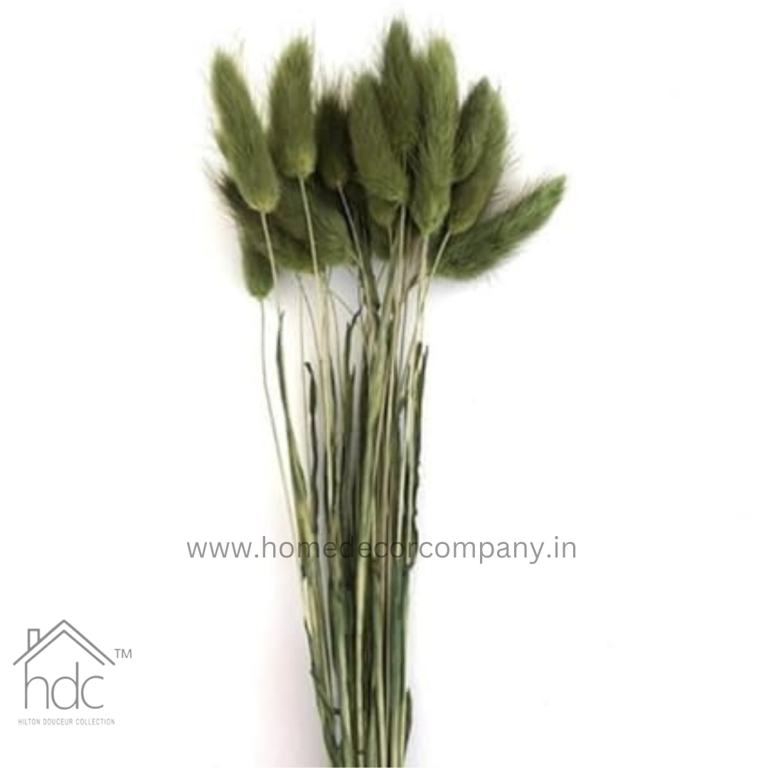 Hdc Naturally Dried Bunny Tail Flower Decor Bunch (Green)