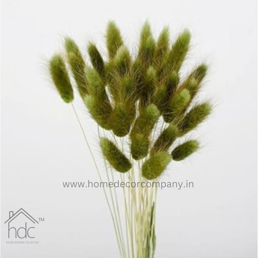 Hdc Naturally Dried Bunny Tail Flower Decor Bunch (Green)