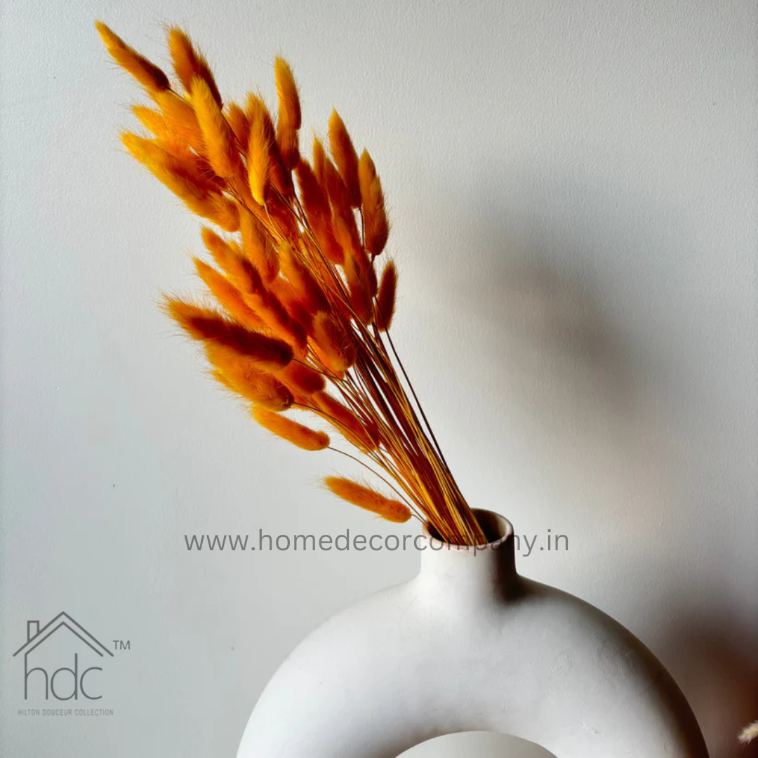 Hdc Naturally Dried Bunny Tail Flower Decor Bunch (Orange)