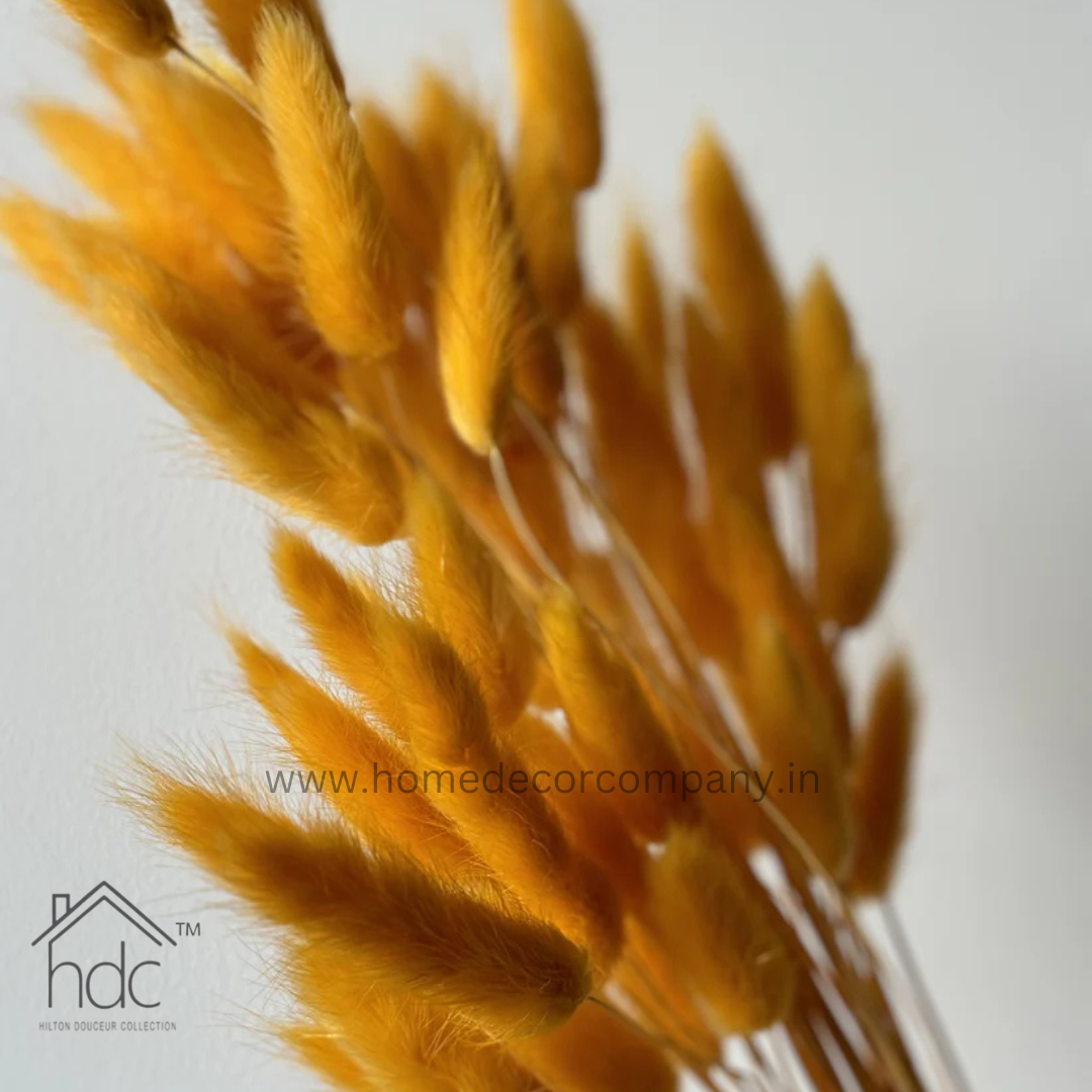 Hdc Naturally Dried Bunny Tail Flower Decor Bunch (Orange)